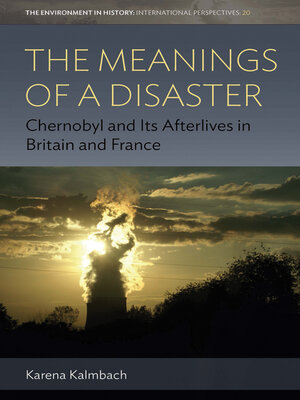 cover image of The Meanings of a Disaster